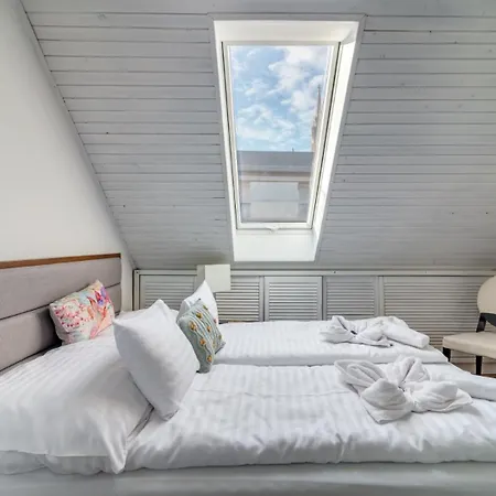 Donaticoeur Bellevue