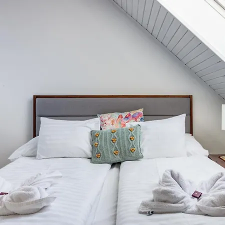 Donaticoeur Bellevue