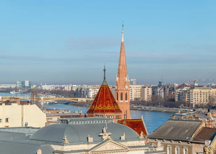 Donaticoeur Bellevue