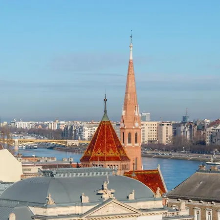 Donaticoeur Bellevue