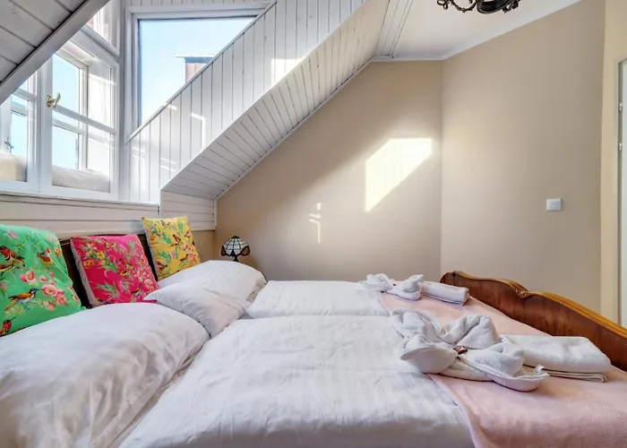 Donaticoeur Bellevue